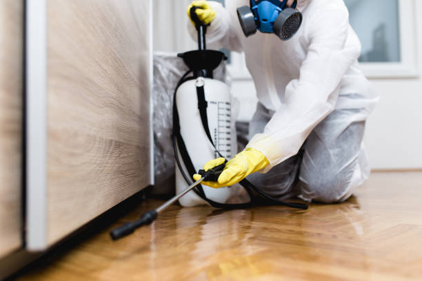 Best Residential Pest Control  in Meadow Vale, KY