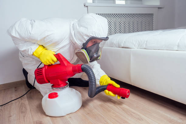 Best Mosquito Control Services  in Meadow Vale, KY