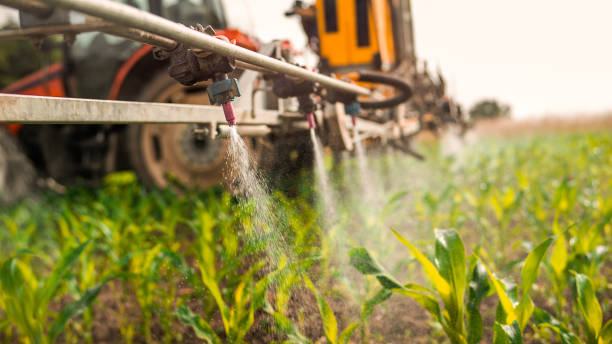 Best Commercial Pest Control Services  in Meadow Vale, KY
